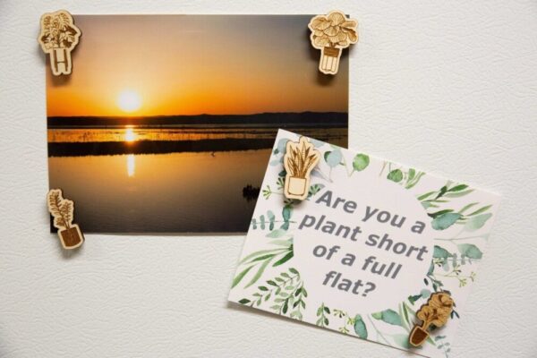 Product image of Plant Magnets