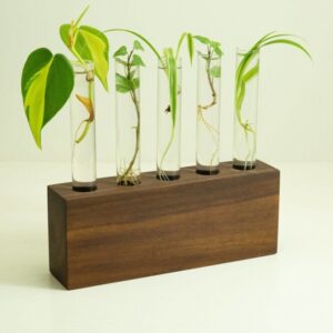 Product image of Propagation Station