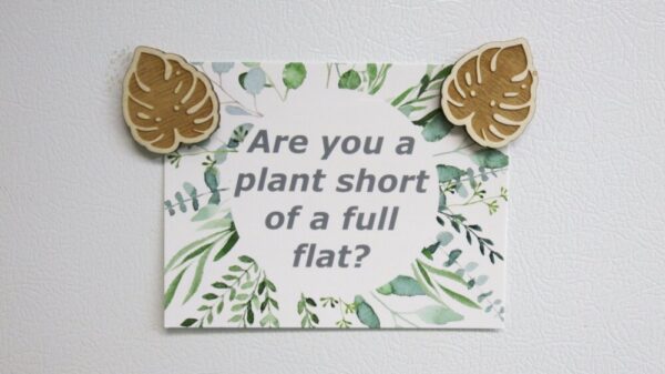 Product image of Monstera Leaf Magnets