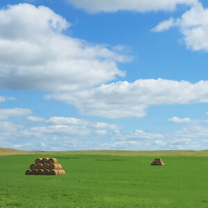 Product image of Round Hay Bales in North Dakota, Magnet