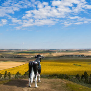 Product image of Salem Sue in North Dakota, Magnet