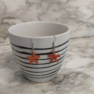 Shop North Dakota Star earrings