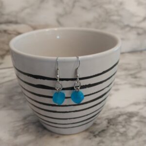 Shop North Dakota Blue circle earrings