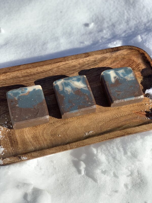 Shop North Dakota Stay Salty Handmade Soap