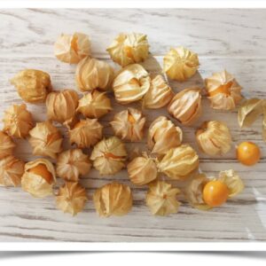 Product image of Ground Cherry: Pineapple