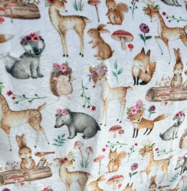 Product image of Woodland animals receiving blanket