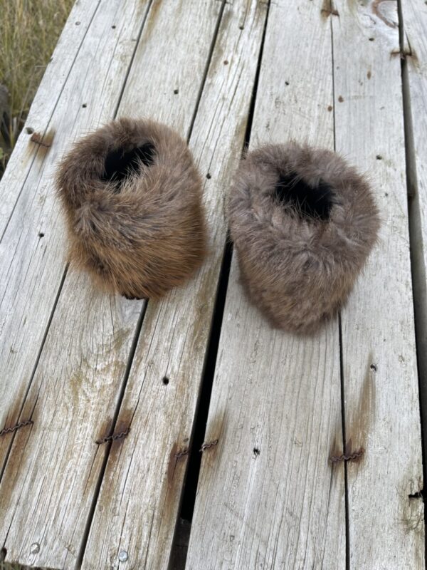 Product image of Beaver Fur Can Cooler