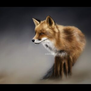 Product image of Wildlife Art | Realism Art