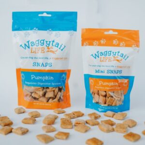 Product image of PUMPKIN All-Natural Everyday Dog Treats