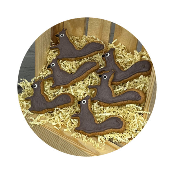 Product image of Squirrel Decorated Cookie