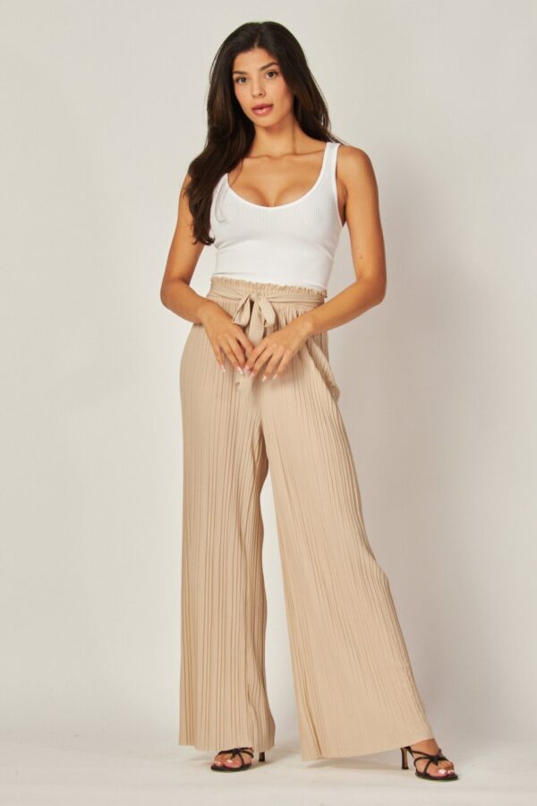 Product image of Pleated Wide Leg Pant – 6 Colors!