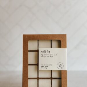 Product image of Wild Fig // soy melts