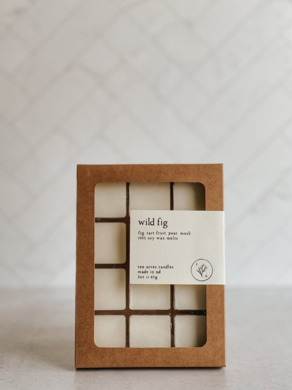 Product image of Wild Fig // soy melts