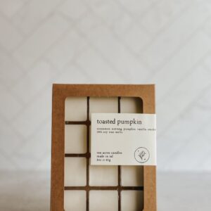 Product image of Toasted Pumpkin // soy melts