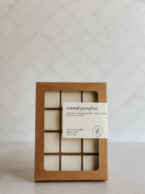 Product image of Toasted Pumpkin // soy melts