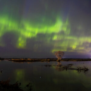 Product image of Northern Lights and Maple river – photo