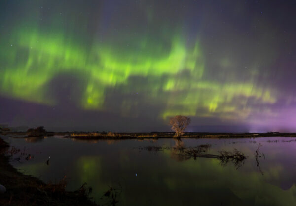 Product image of Northern Lights and Maple river – photo