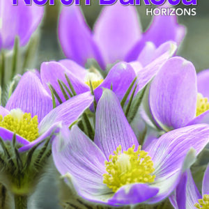 Product image of One-Year Subscription to North Dakota Horizons magazine