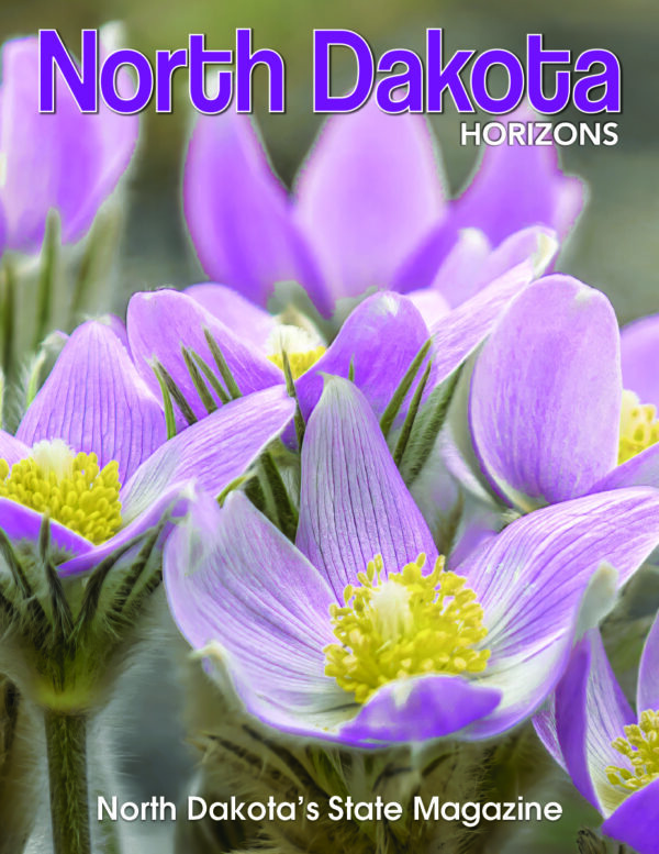 Product image of One-Year Subscription to North Dakota Horizons magazine