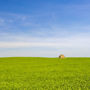 Product image of Beautiful green fields and Blue skies North Dakota