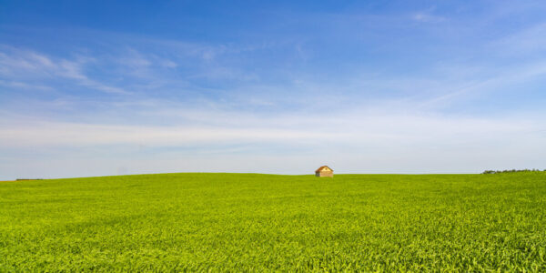 Product image of Beautiful green fields and Blue skies North Dakota