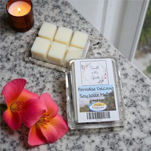Product image of Paradise Volcano – Soy Wax Melts