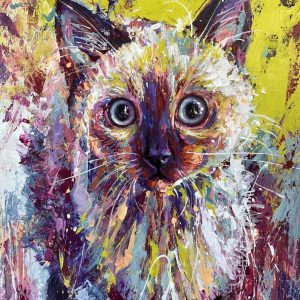 Product image of Soul Companions