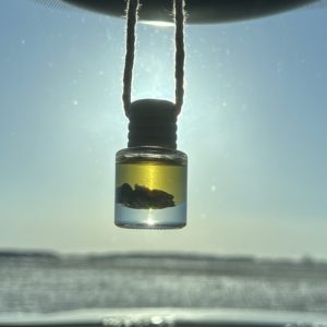 Product image of Crystal Infused Essential Oil Diffuser- Sage w/Clear Quartz