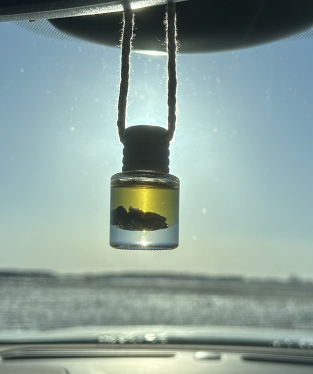 Product image of Crystal Infused Essential Oil Diffuser- Sage w/Clear Quartz