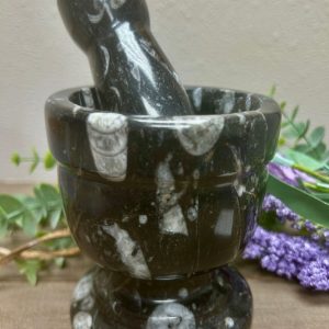 Product image of Orthoceras Mortar and Pestle