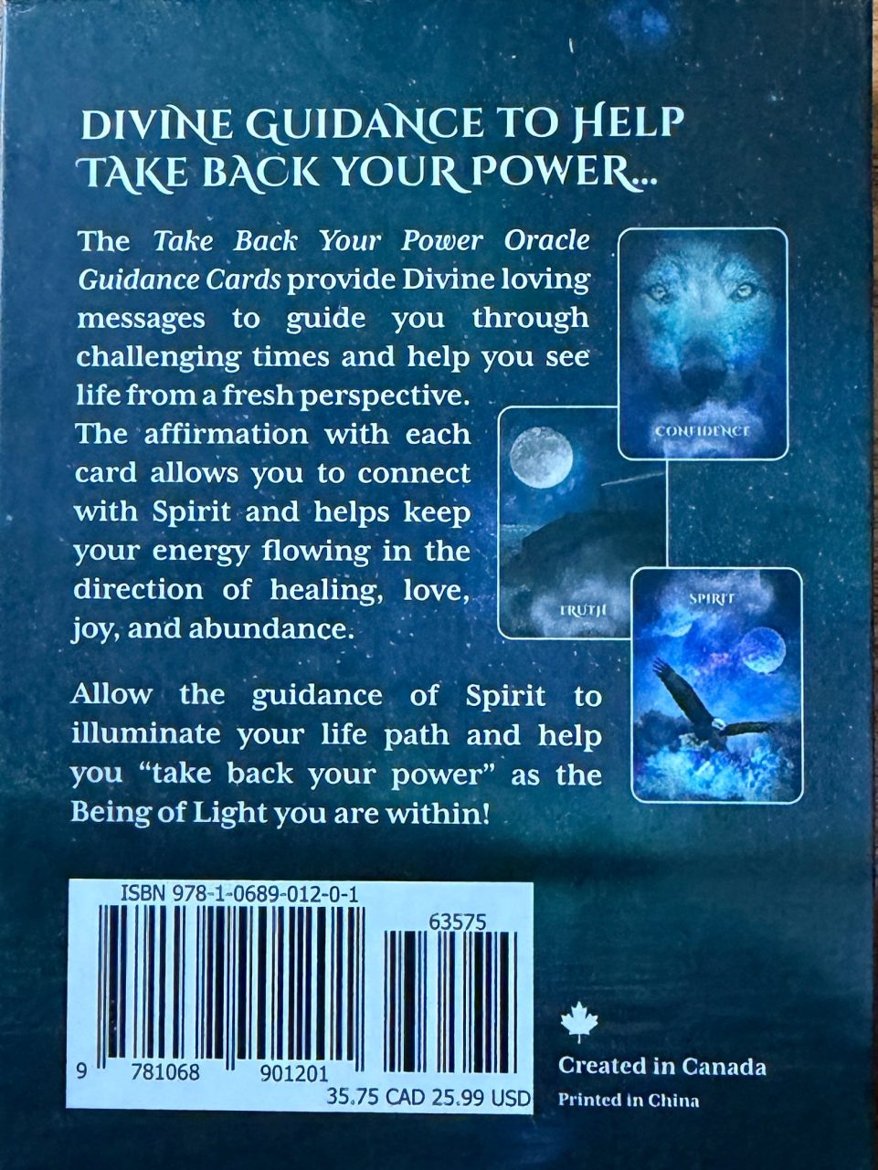 Product image of Take Back Your Power Cards