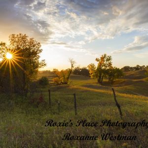 Product image of Fenceline on an autumn drive Sheyenne National grasslands