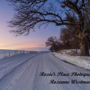 Product image of Beautiful winter drive North Dakota