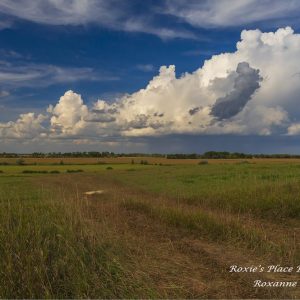 Product image of Rolling storm clouds over the farmland