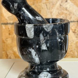 Product image of Orthoceras Mortar and Pestle #1