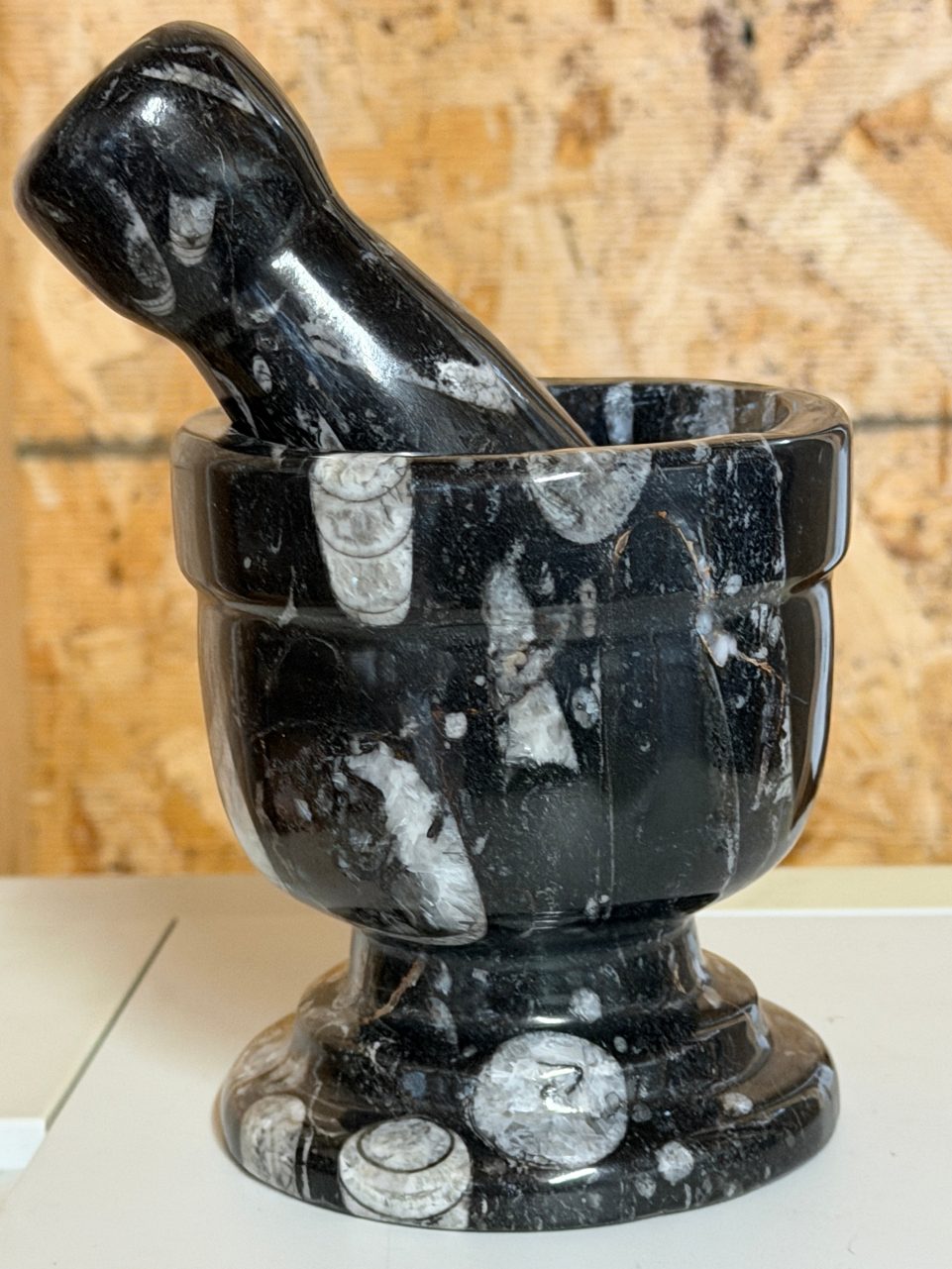 Product image of Orthoceras Mortar and Pestle #1