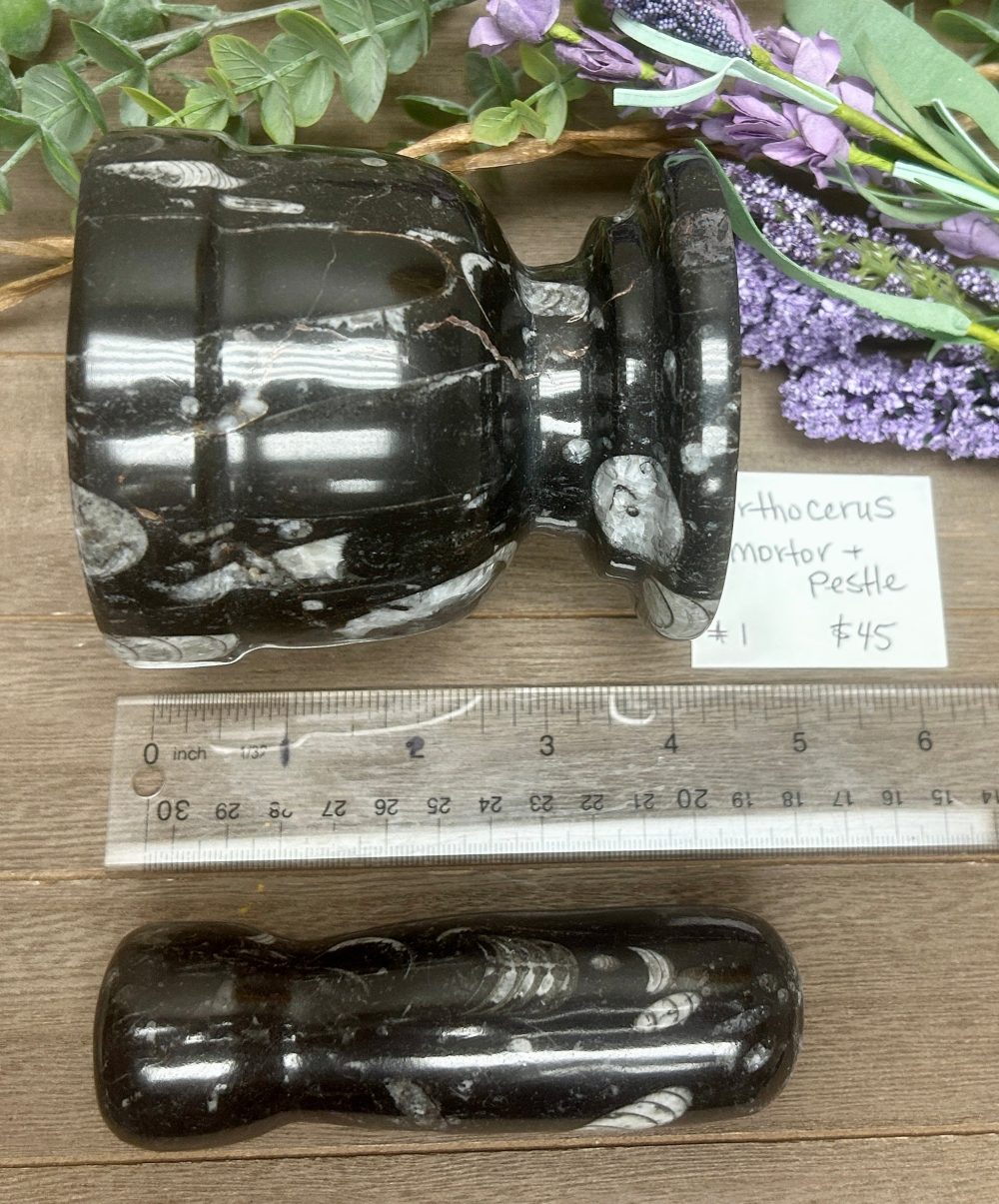 Product image of Orthoceras Mortar and Pestle #1