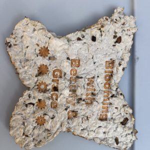 Product image of Monarch Seed Paper