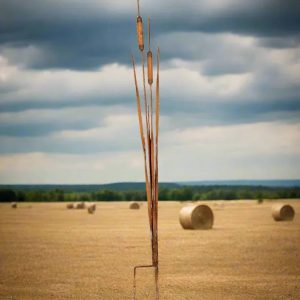 Product image of Cattail Reeds Sculpture single.